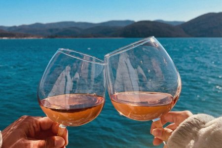 ulaganja-u-vinarije-invwine-581b01